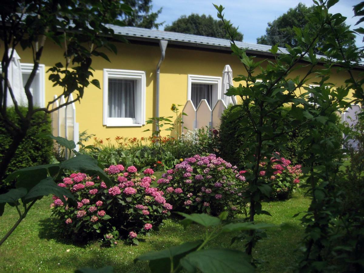 Haus Am Wald Apartment Херингсдорф Екстериор снимка